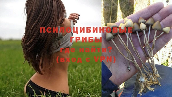 гашик Алексеевка