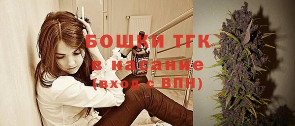 гашик Алексеевка