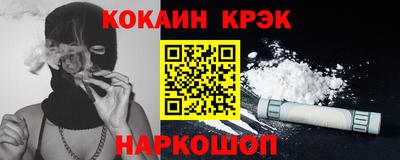 гашик Кингисепп