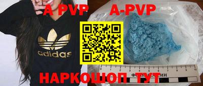 гашик Кингисепп