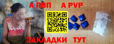 гашик Кингисепп