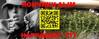 гашик Кингисепп