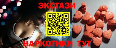 гашик Кингисепп