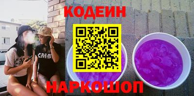 гашик Кингисепп