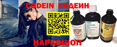 гашик Кингисепп