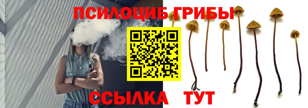 Псилоцибиновые грибы GOLDEN TEACHER Кулебаки